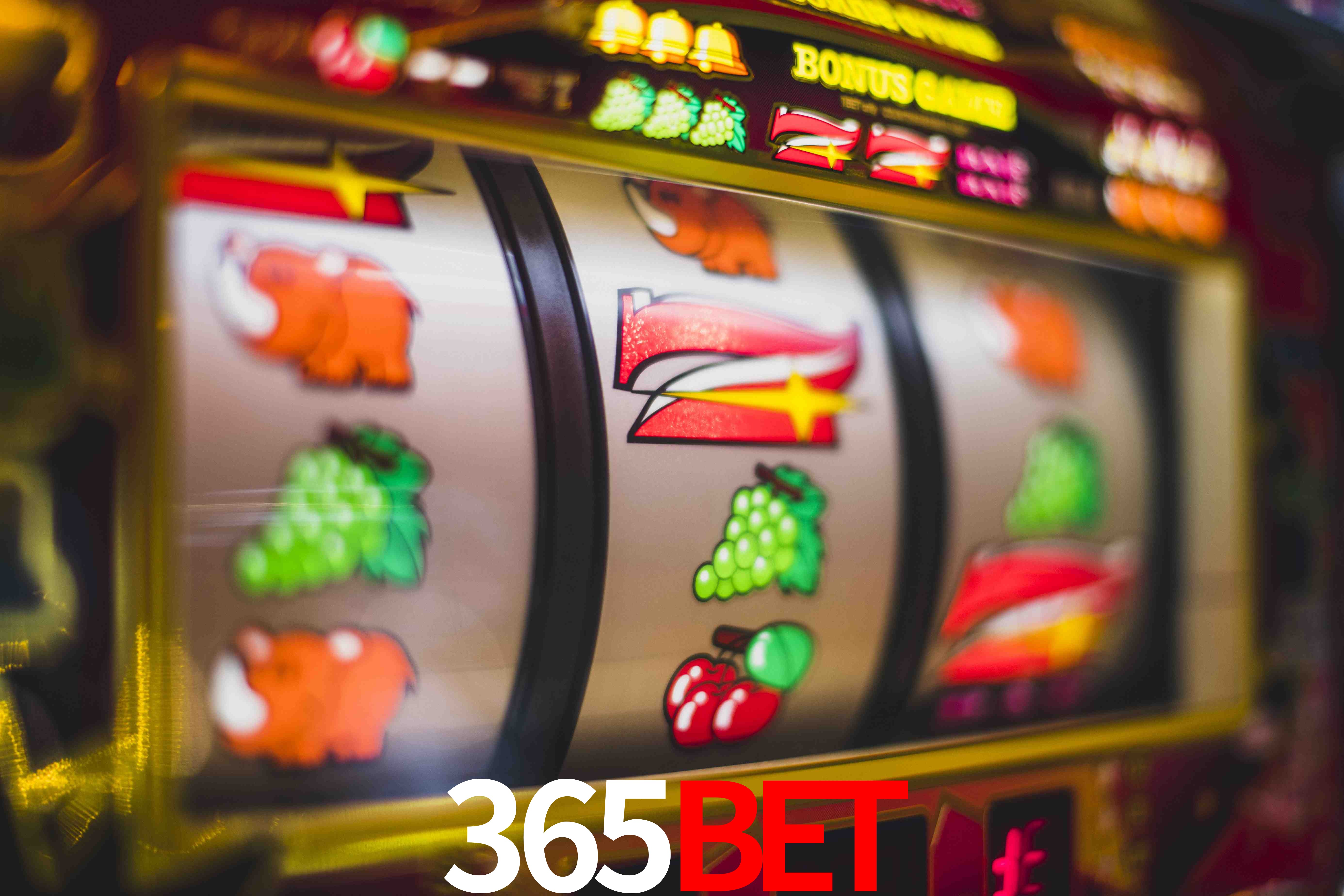 Basketball Betting 365bet